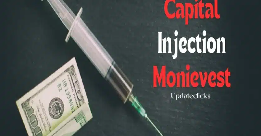 Capital Injection: Exploring How Monievest Empowers Growth